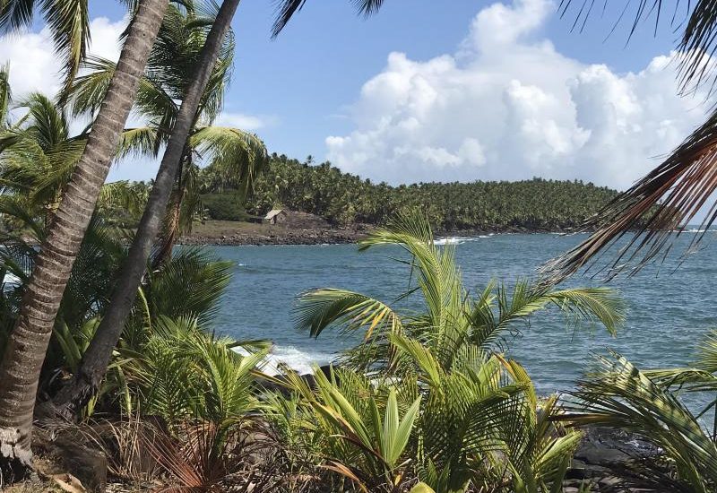 societe de services informatiques en guyane